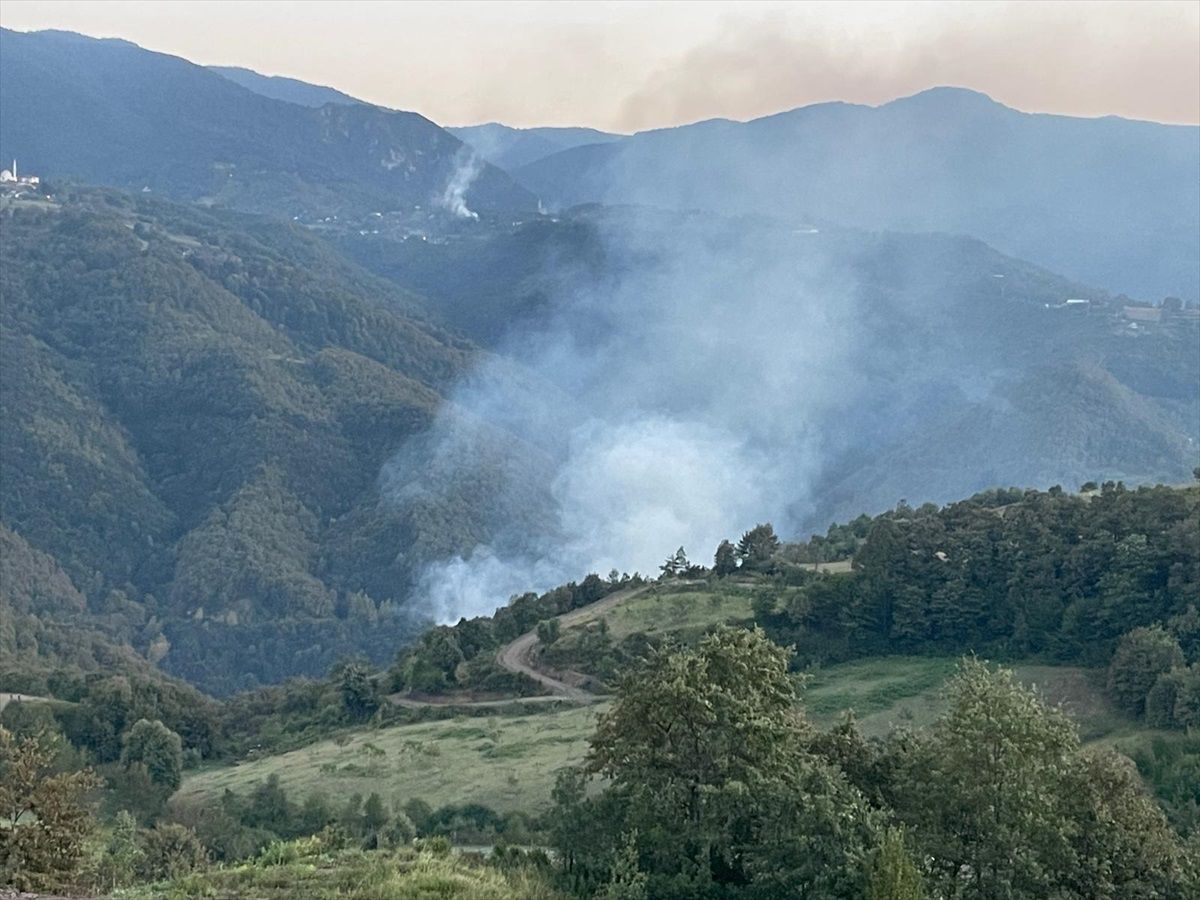 Kocaeli'de çıkan orman yangını söndürüldü