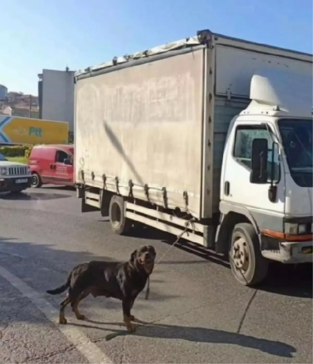 Bağcılar'da Köpeği Kamyonete İple Bağlayan Şahıs Gözaltına Alındı