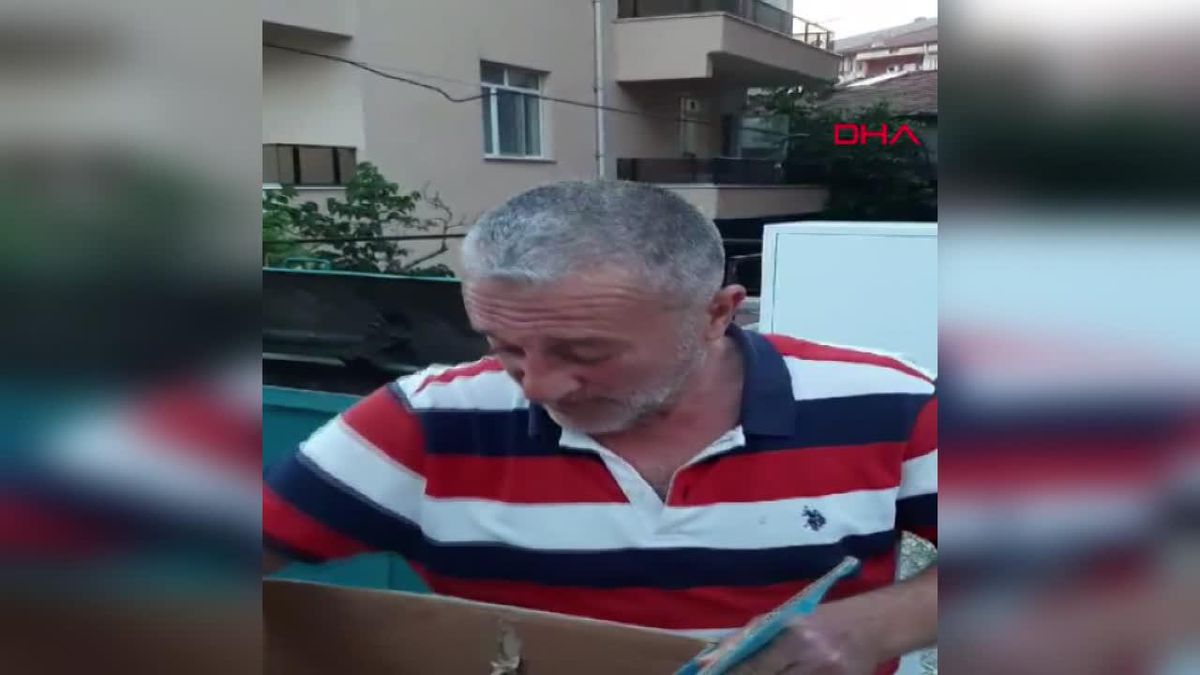 Sokakta terk edilen kedi yavruları evde sahiplenildi