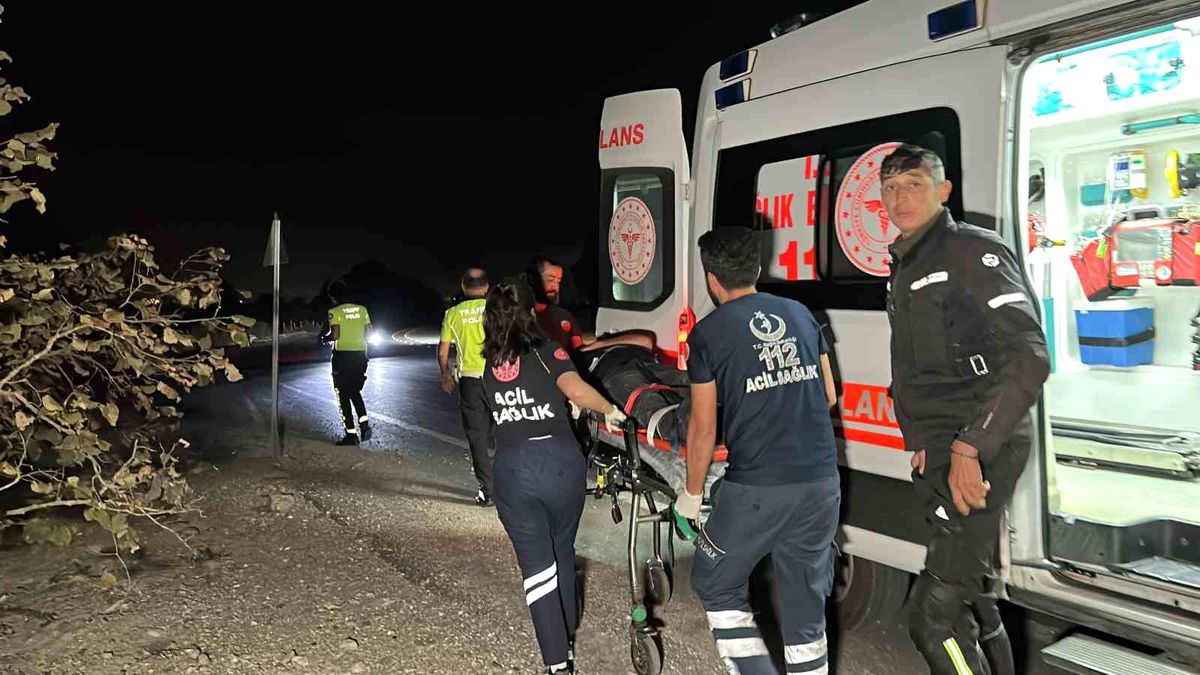 Düzce'de trafik tabelasına çarpan motosiklet fındık bahçesine uçtu