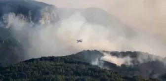 Orman Yangınları Kontrol Altına Alındı