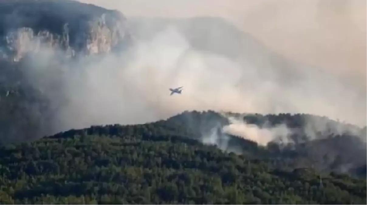 Orman Yangınları Kontrol Altına Alındı