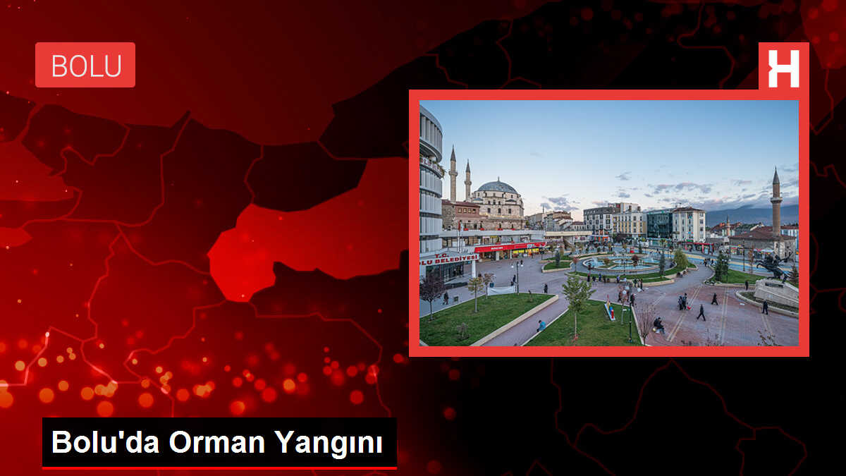 Gerede'de Orman Yangını Çıktı