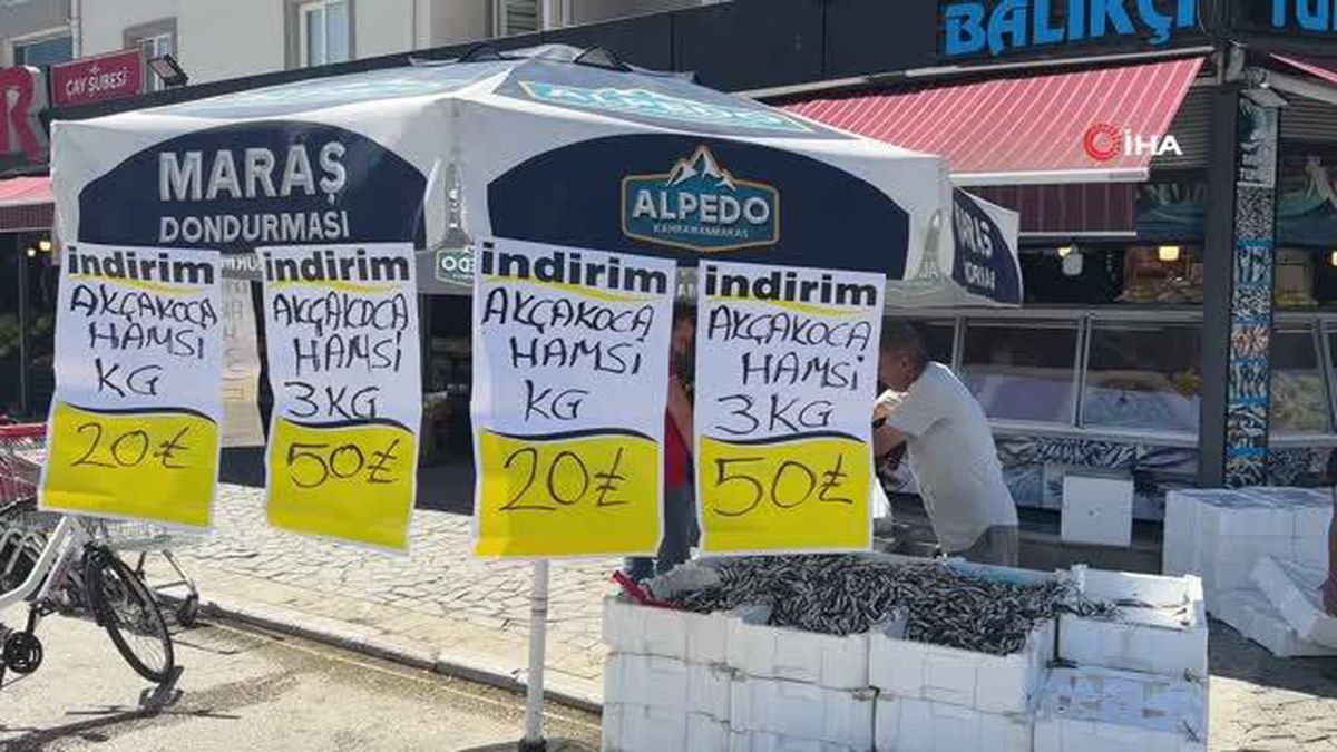 Karadeniz'de Hamsi Fışkırıyor, Düzce'de Fiyatlar Düştü