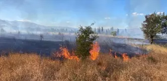 Erzincan'da arazide çıkan yangın itfaiye ekipleri tarafından söndürüldü