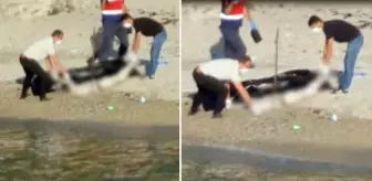 Kandıra'da el, ayak ve başı kesilmiş kadın cesedi sahile vurdu