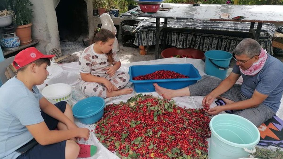 Kızılcık üretimini kırağı vurdu! Verim düşünce fiyat 50 TL'ye çıktı