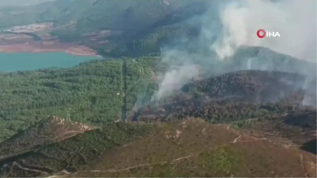 Köyceğiz'de ormanlık alanda çıkan yangın büyümeden söndürüldü