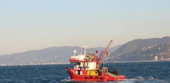 KTÜ Deniz Bilimleri ve Teknolojisi Enstitüsü Müdürü Hamsi Avcılığının Durdurulmasını Önerdi