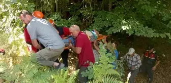 Bolu'da Odun Yüklü Traktör Uçuruma Yuvarlandı, Kıbrıs Gazisi Hayatını Kaybetti