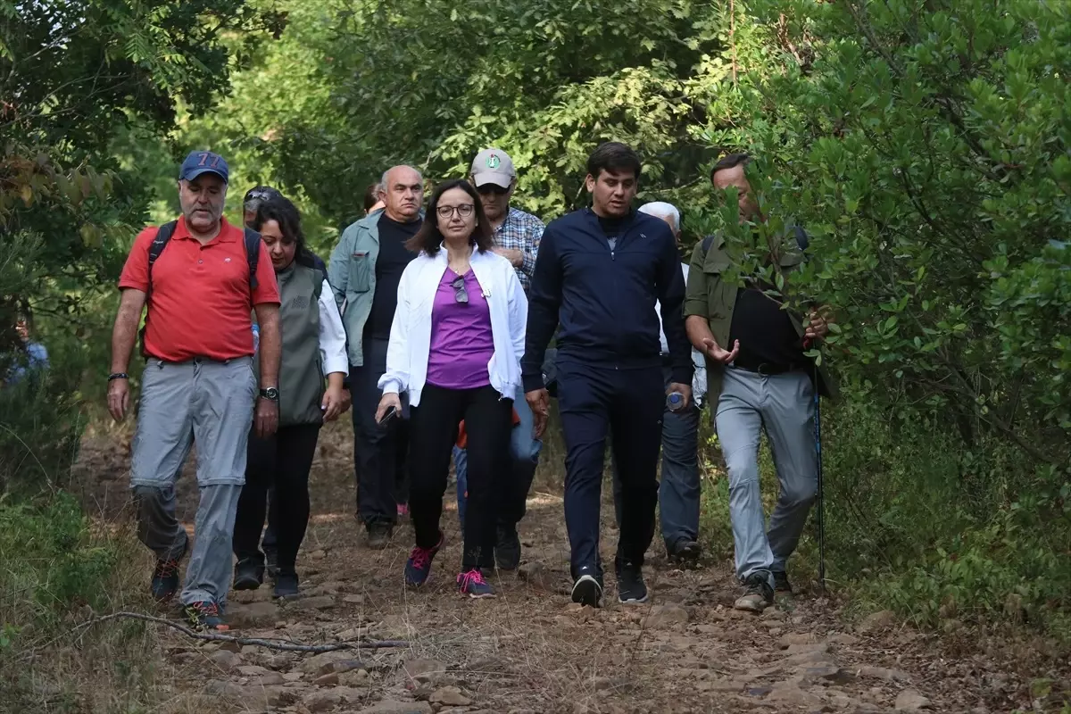 Yalova Valisi Hülya Kaya Doğa Yürüyüşüne Katıldı
