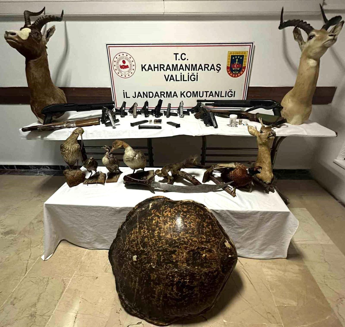 Kahramanmaraş'ta silah ve hayvan tahnitleri ele geçirildi
