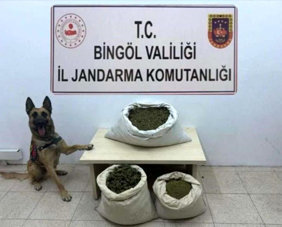 Bingöl'de 6 Arazide Uyuşturucu Operasyonu