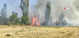 Çorum İskilip'te Bağ, Bahçe ve Tarlalarda Yangın Çıktı