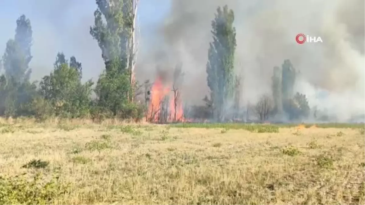 Çorum İskilip'te Bağ, Bahçe ve Tarlalarda Yangın Çıktı