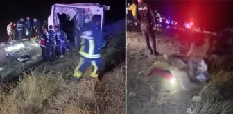 Kaçak göçmenleri taşıyan midibüs şarampole yuvarlandı! 5 kişi hayatını kaybetti