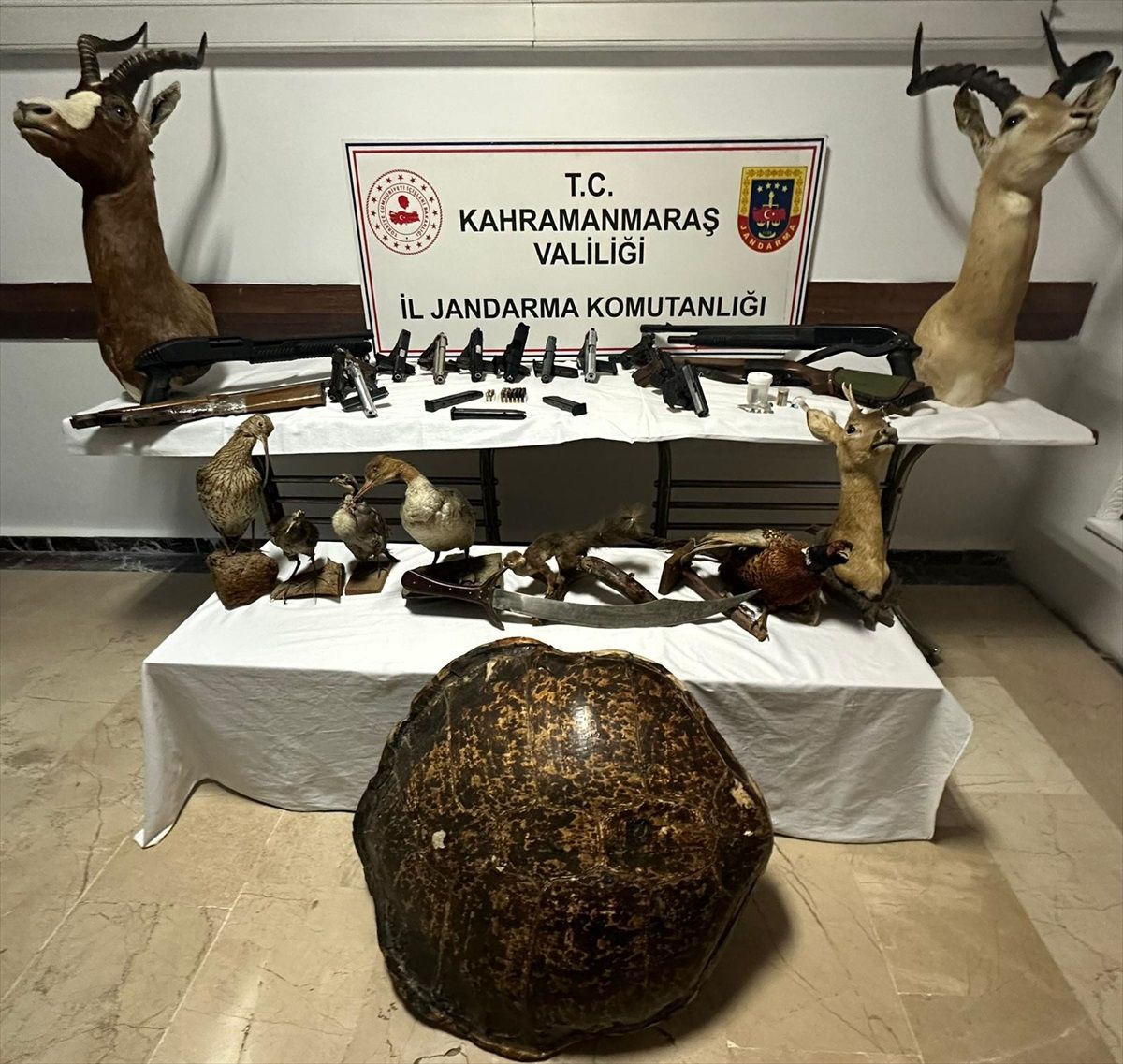 Kahramanmaraş'ta Uyuşturucu, Silah ve Hayvan Tahnitleri Ele Geçirildi