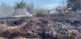 Yanan 2 dönümlük fındık bahçesi küle döndü