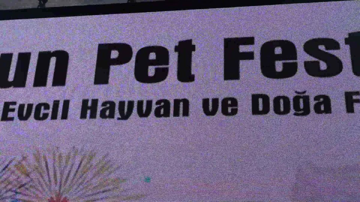 Karadeniz'in en kapsamlı evcil hayvan festivali 'Samsun Pet 2023' gerçekleştirildi