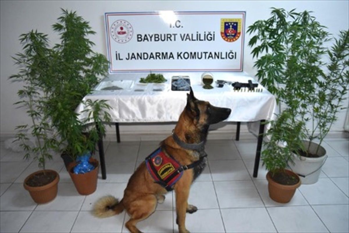 Bayburt'ta Uyuşturucu Operasyonunda 2 Şüpheli Tutuklandı