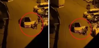 'Beni aldattı' dediği eşini sokak ortasında döverek bayılttı! O anlar kamerada