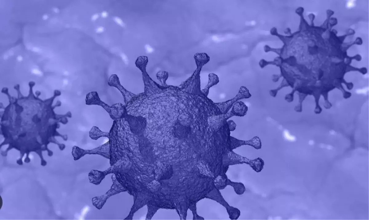 Eris varyantı okulları kapatır mı? Kapanma olacak mı?