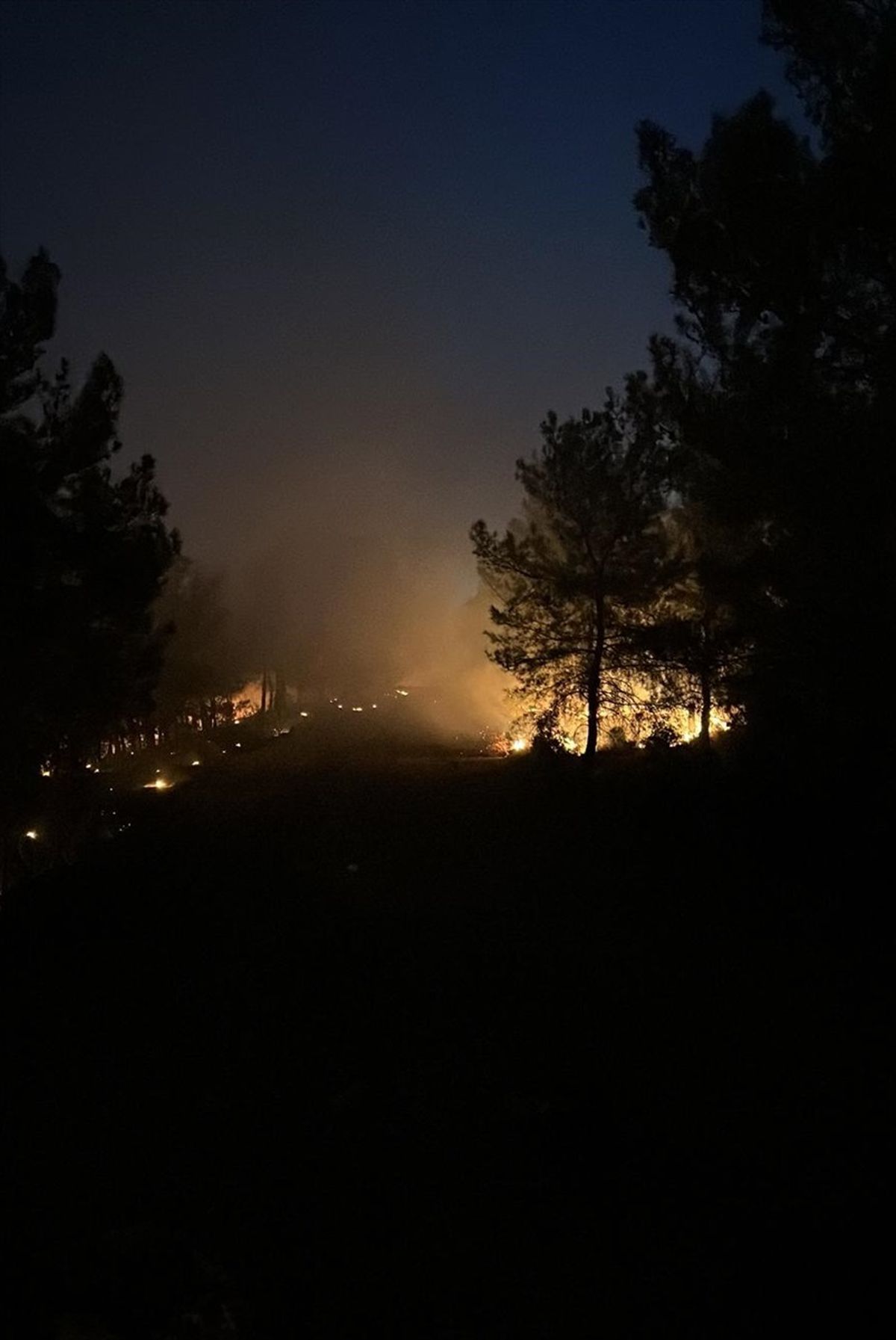 İzmir'de çıkan orman yangınına müdahale ediliyor
