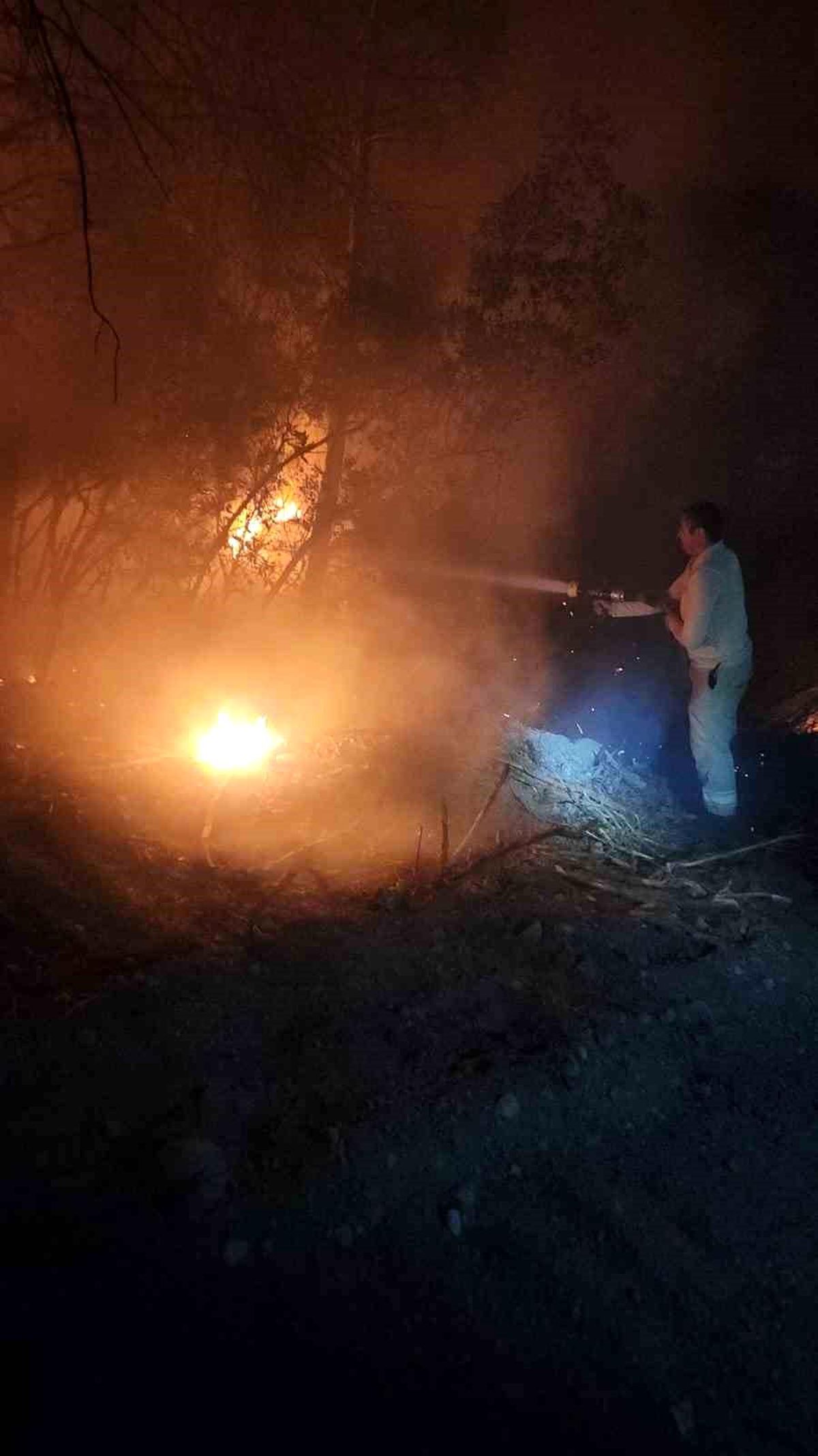 İzmir'deki orman yangınına havadan ve karadan müdahale