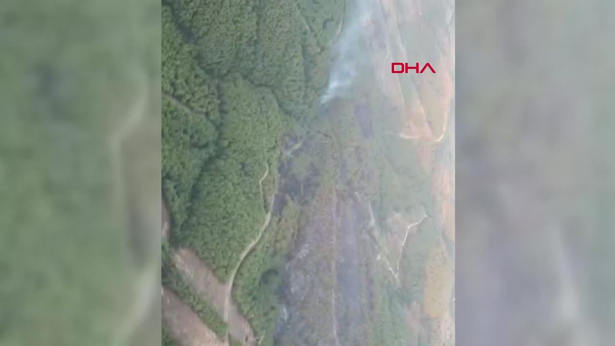 İzmir'deki orman yangını söndürme çalışmaları devam ediyor