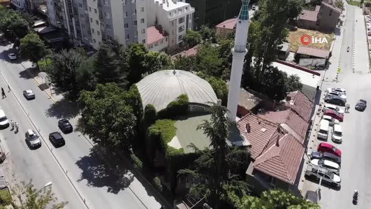 Sarmaşıkla sarılı cami kuşlara yuva oluyor