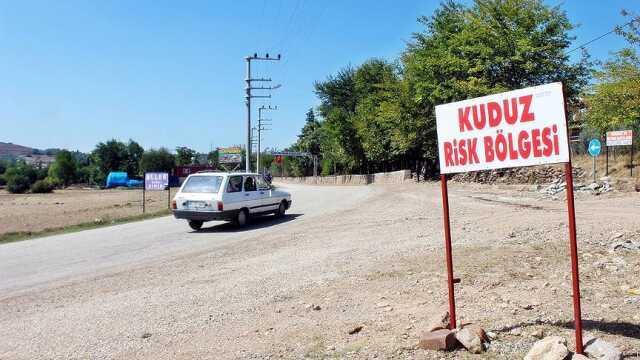 Türkiye kuduz için 'en riskli ülkeler' kategorisine alındı Türkiye kuduz için 'en riskli ülkeler' kategorisine alındı