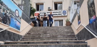 İstanbul'da Kardeş Cinayeti: İrfan Özbakırcı Hakim Karşısında