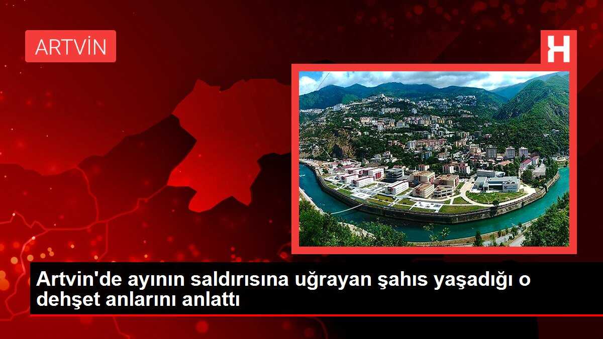 Artvin'de ayının saldırısına uğrayan şahıs yaşadığı o dehşet anlarını anlattı