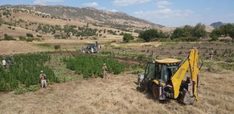 Diyarbakır'da büyük uyuşturucu operasyonu: 2 ton esrar ele geçirildi
