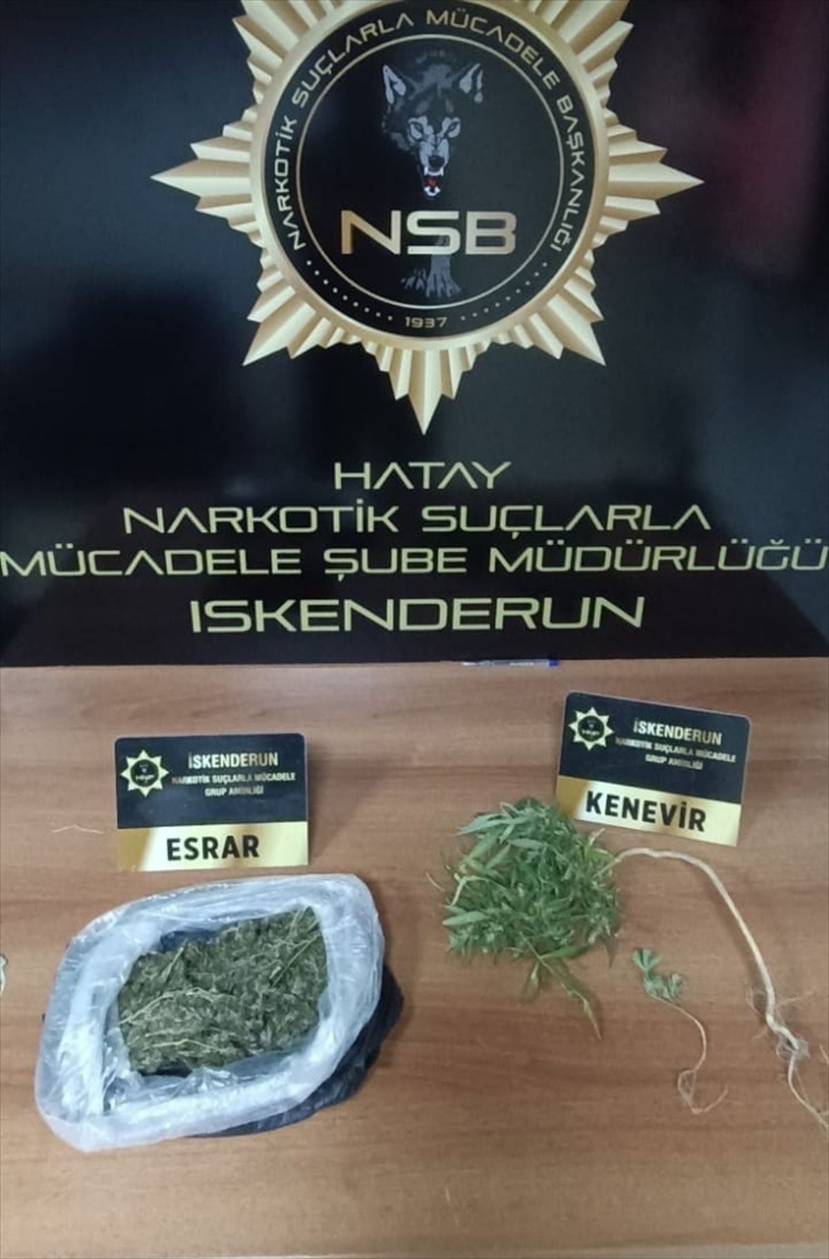 İskenderun'da Uyuşturucu Operasyonu: 1 Şüpheli Gözaltına Alındı