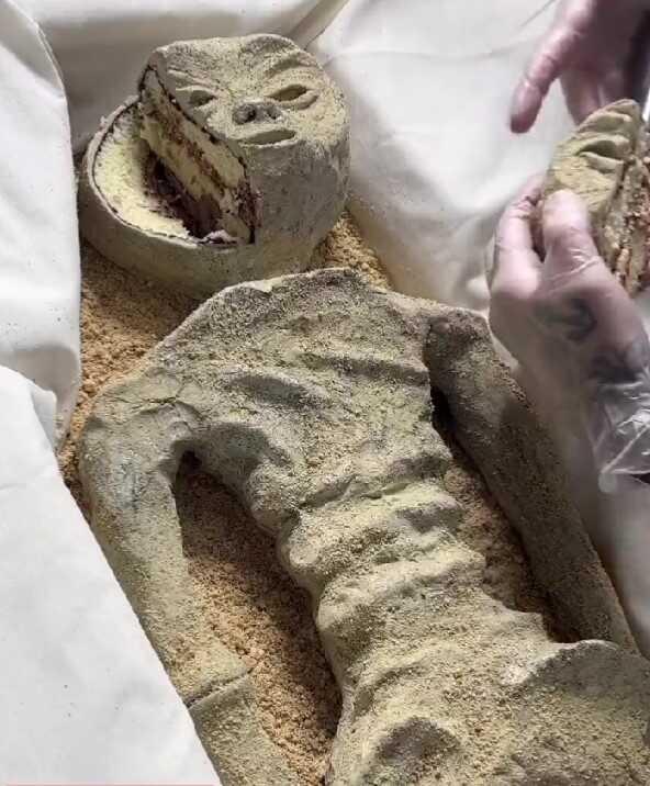 Meksika'daki uzaylı fosillerinin gerçekte kek olduğu iddiası