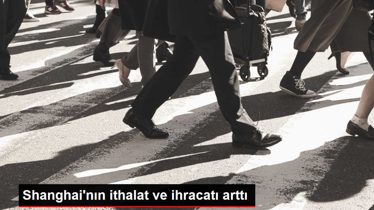 Shanghai'nın ithalat ve ihracatı arttı