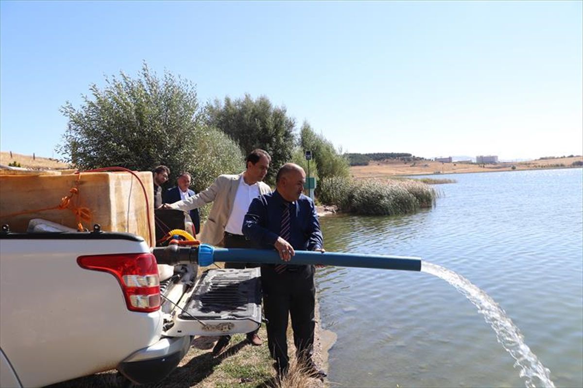 Sivas'ta Göletlere 860 Bin Sazan Yavrusu Salındı