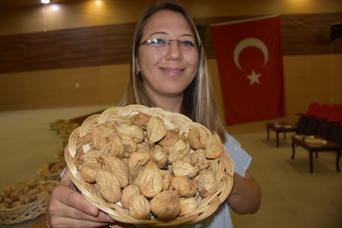 Aydın'ın Germencik ilçesinde düzenlenen incir yarışmasında birinci olan üretici açıklandı