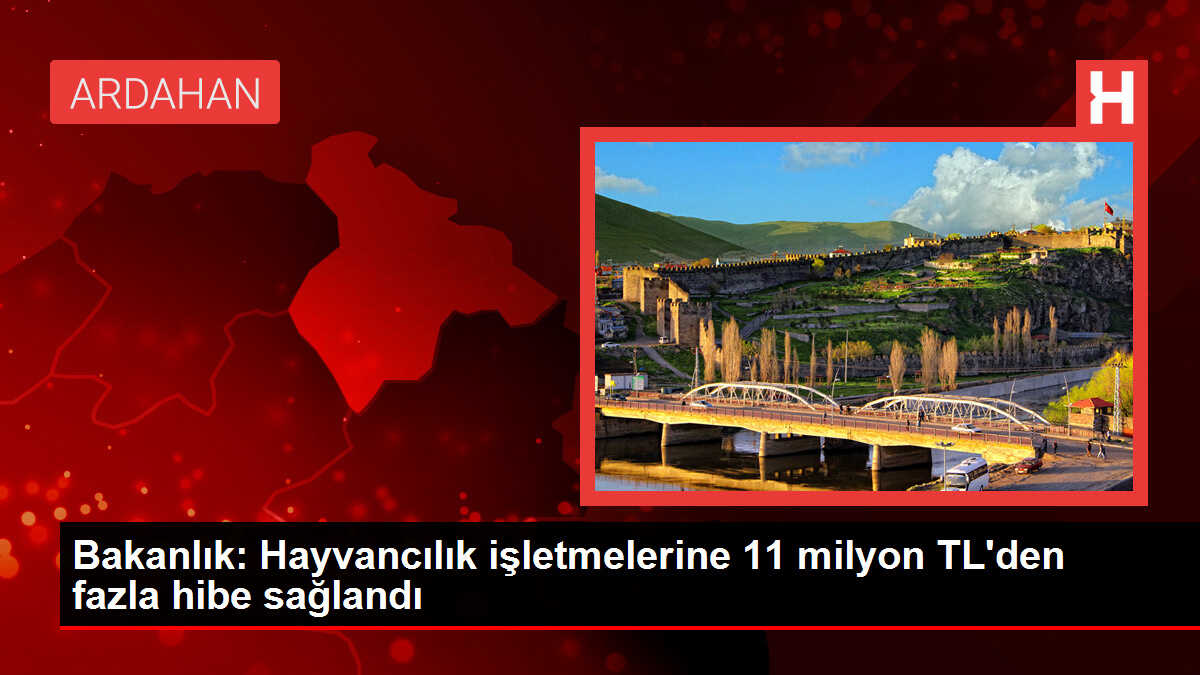Tarım ve Orman Bakanlığı, Hayvancılık İşletmelerine 11 Milyon TL Hibe Desteği Sağladı