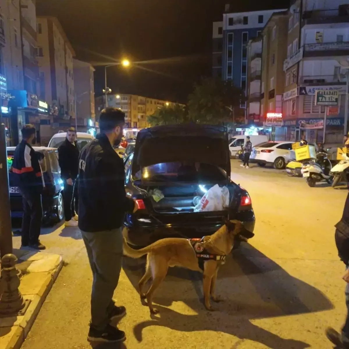 Çankırı'da Narkotik Uygulaması: 1522 Kişi ve 793 Araç Sorgulandı
