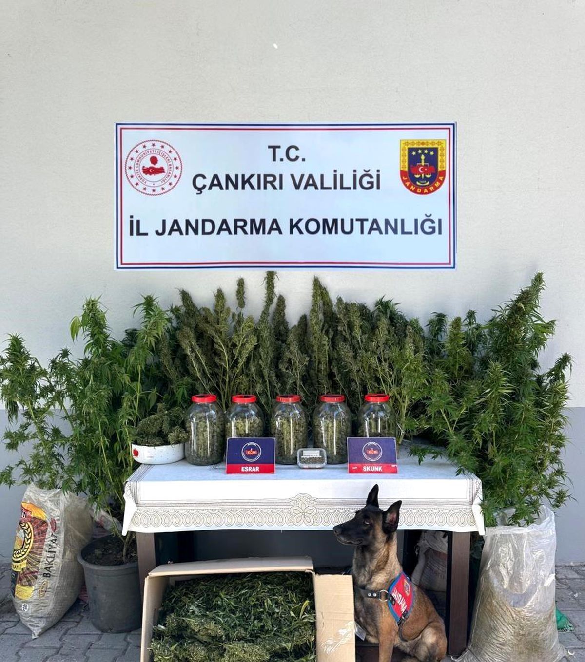 Çankırı'da Uyuşturucu Operasyonu: Şahıs Gözaltına Alındı