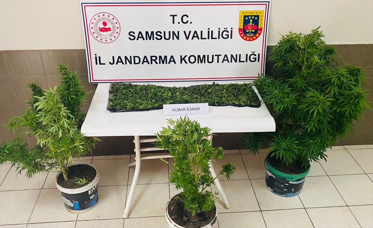 Samsun'da Uyuşturucu Operasyonunda Yakalanan Şüpheli Tutuklandı