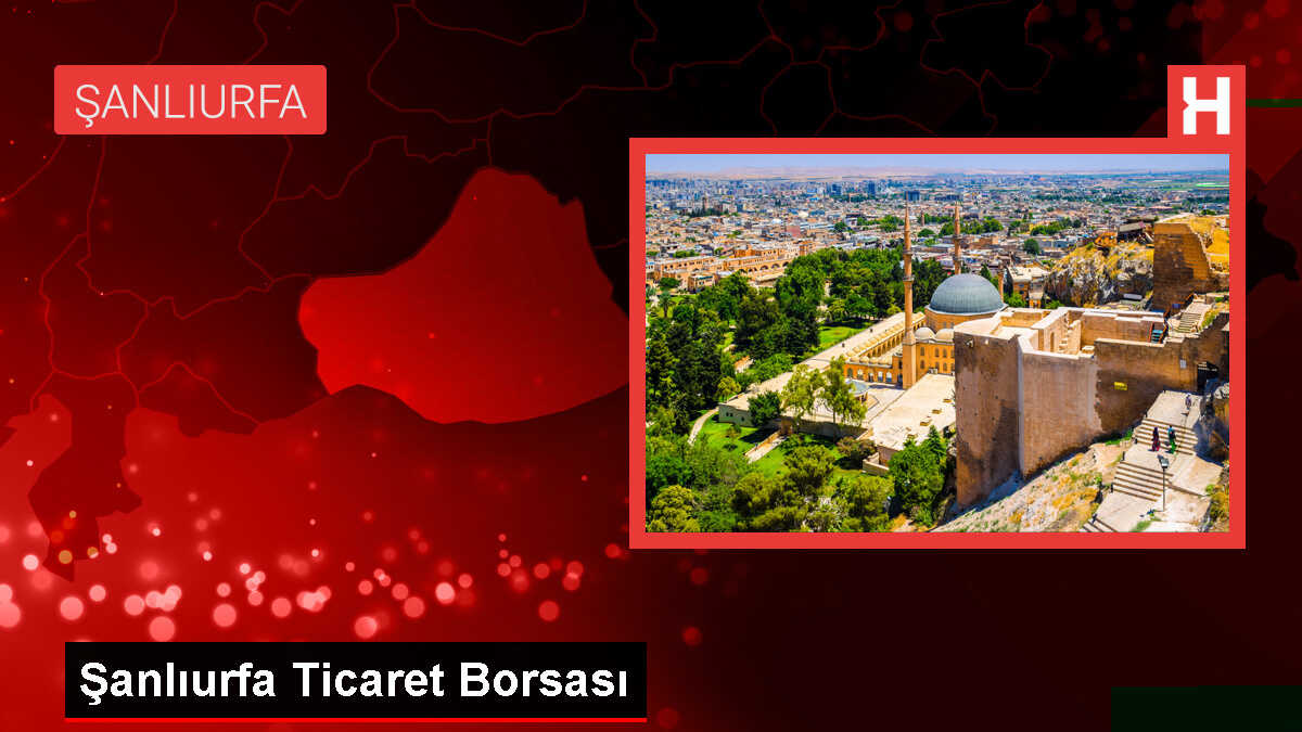 Şanlıurfa Ticaret Borsasında Kırmızı Mercimek Kilogramı 20 Liradan Satıldı