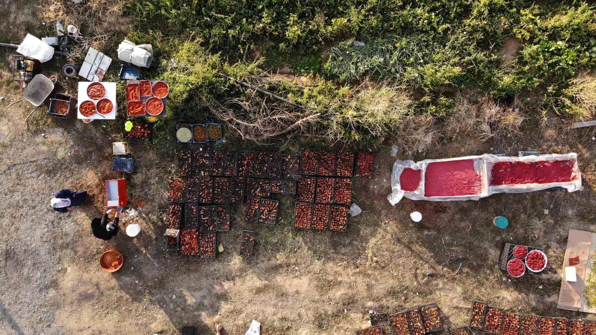 Bitlis'te Kadınlar Geleneksel Yöntemlerle Salça Üretiyor