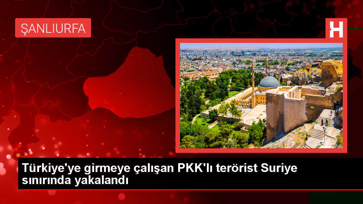 Suruç'ta PKK/PYD mensubu terörist yakalandı