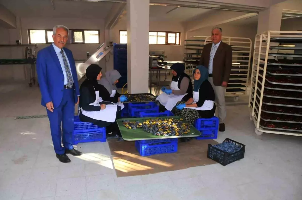Kadın Girişimciler Kooperatifi'nin meyve kurutma tesisi ürün yelpazesini genişletiyor