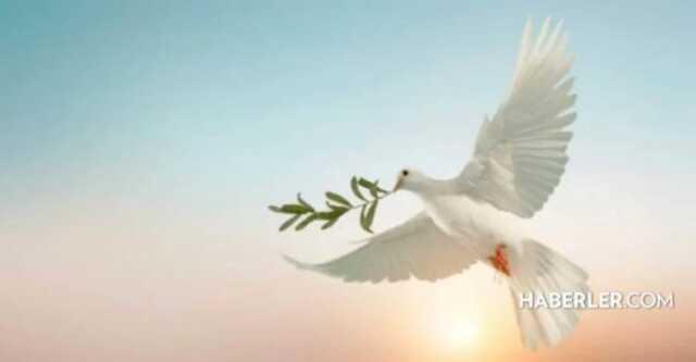 Dünya Barış Günü sözleri ve mesajları! En güzel 21 Eylül Dünya Barış Günü resimli mesajlar!