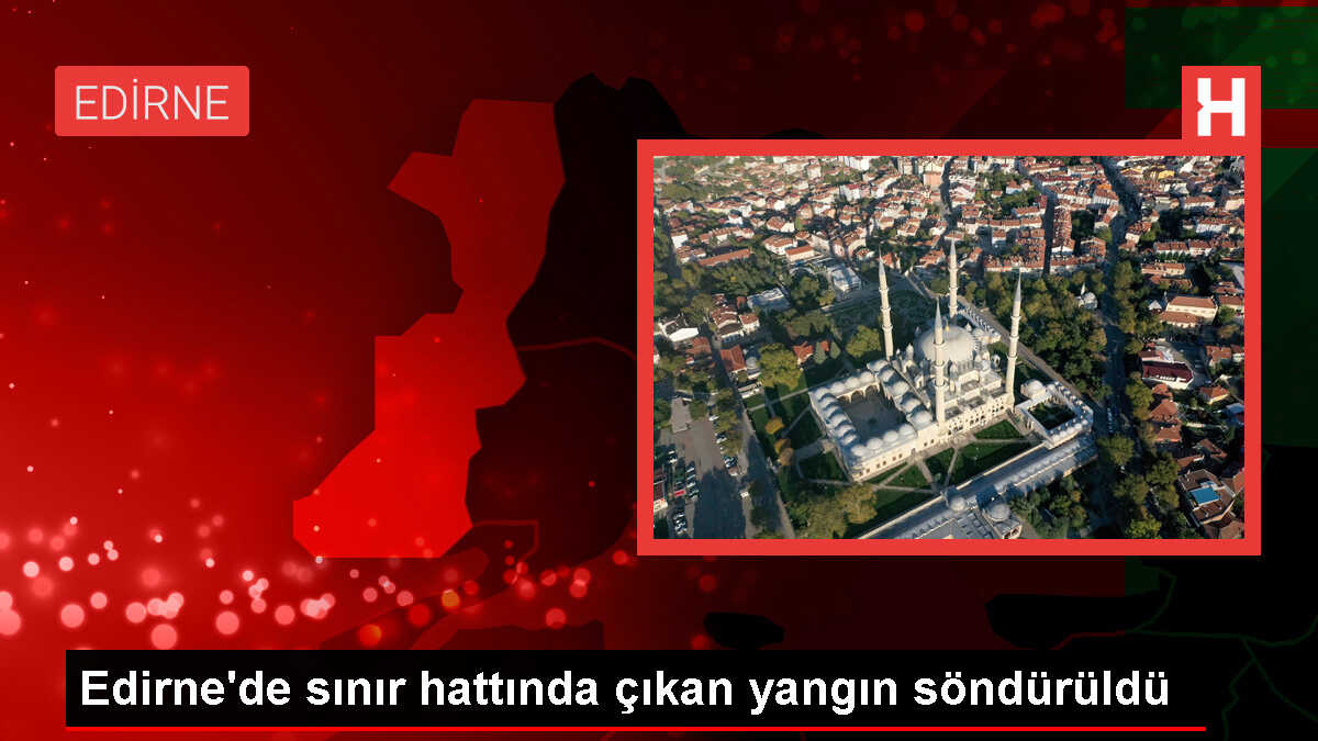 Edirne'de sınır hattındaki ormanlık alanda çıkan yangın söndürüldü