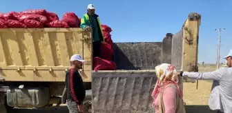Ereğli Belediyesi'nin Organik Tarım Projesi kapsamında yetiştirdiği salçalık biberler vatandaşlarla paylaşıldı